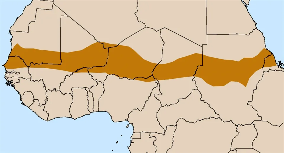 مشروع السور الأخضر الكبير