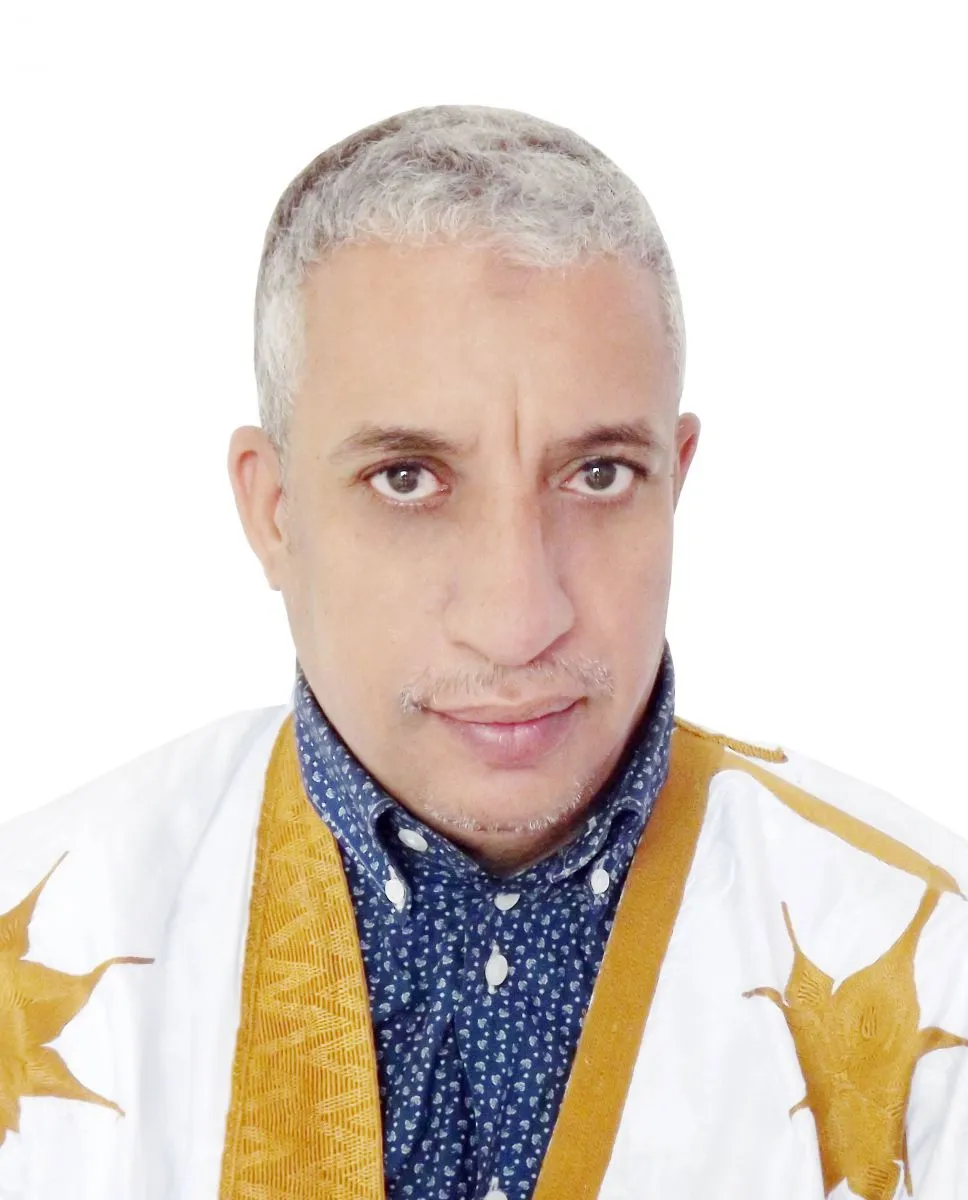 المختار ولد داهي،سفير سابق