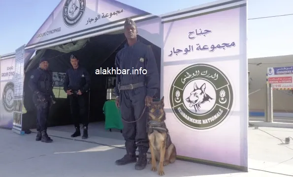إيقاف سنغالي بحوزته 10 كلغ من المخدرات في كيهيدي