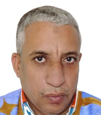 المختار ولد داهي،سفير سابق