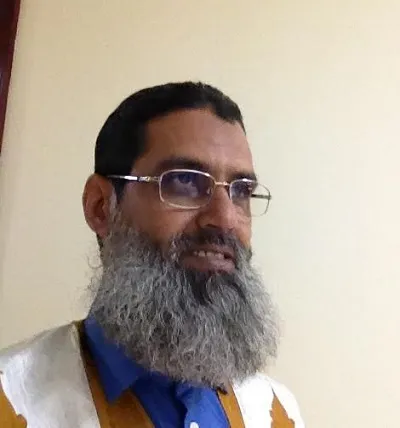 محمد سالم بن دودو