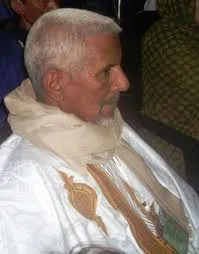 أحمد ولد حباب، سياسي وإعلامي