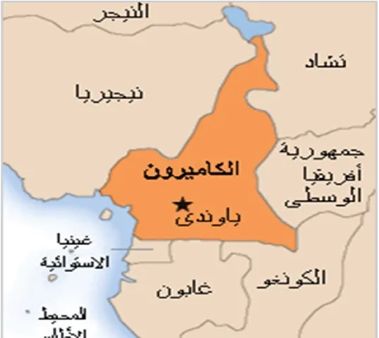 4 قتلى في هجوم على مسجد بالكاميرون