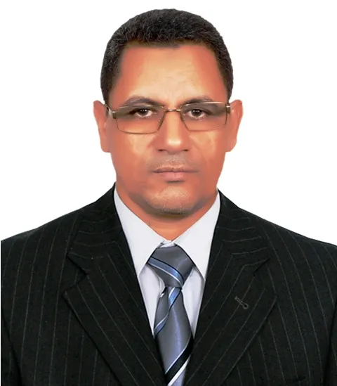 سيدي محمد يونس - كاتب صحفي