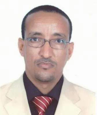 باحث موريتاني: تغييب موريتانيا عن الملف المالي غير ممكن