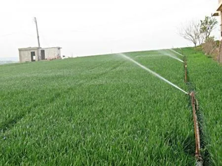 البنك الدولي يمول مشروعا زراعيا بموريتانيا