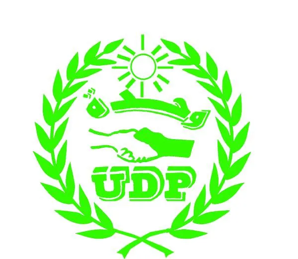UDP: المسار الجديد سيفضي لترسيخ الديمقراطية