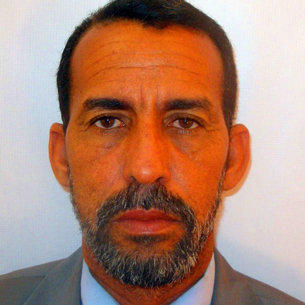 محمد الهادي ولد الزين