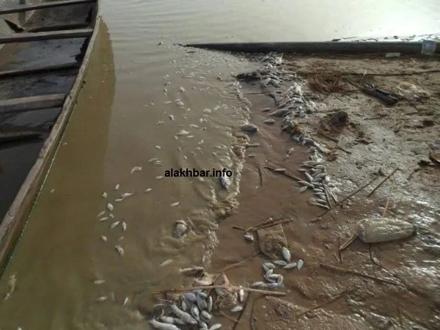 النضوب يهدد بحيرة كنكوصة الموريتانية