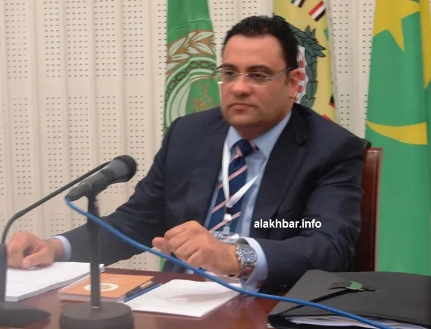 الناطق الرسمي باسم الأمين العام لجامعة الدول العربية السفير محمود ع?