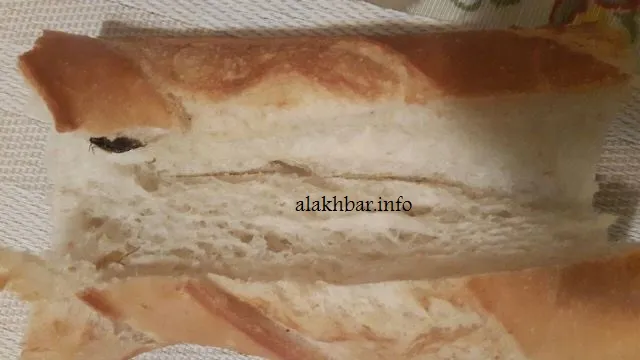 صحفي موريتاني: وجدت حشرتين داخل الخبز (صورة)