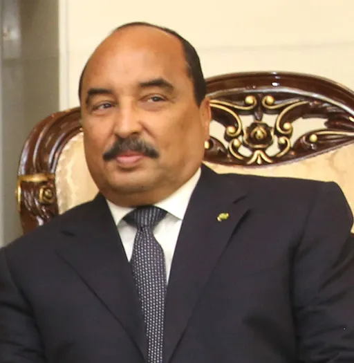 ولد عبد العزيز يحضر تنصيب عضوين بالمجلس الدستوري