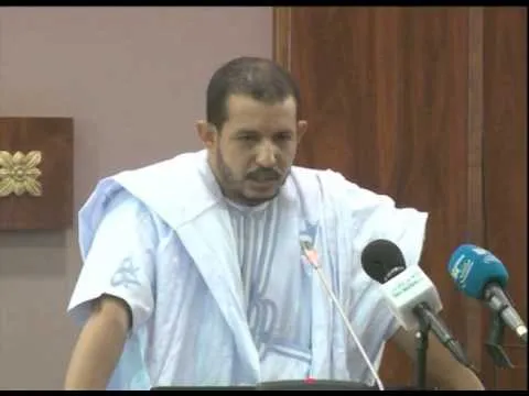 برلماني: السلطة تفرض على البعض خيار الموالاة بالضرائب