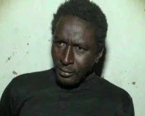 17690474_1536388453051633_752026970_n