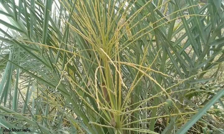 811136fc-c0ff-42c6-9d97-df51c9758976