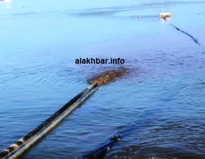 جانب من مخلفات مصانع دقيق السمك (تصوير الأخبار)