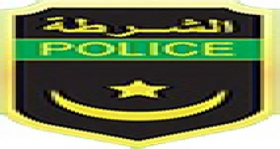 logopolice4_0