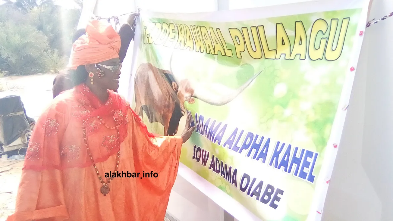 IMG_20171218_123529 copy