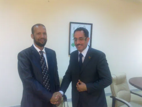 جميل والقاطرة