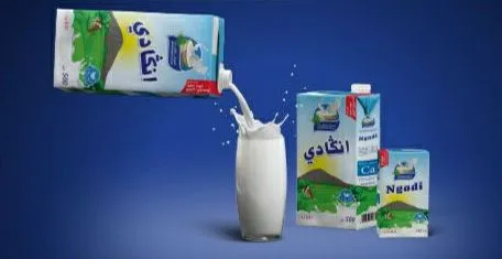 20228967_111600746163032_2280160889516576804_n