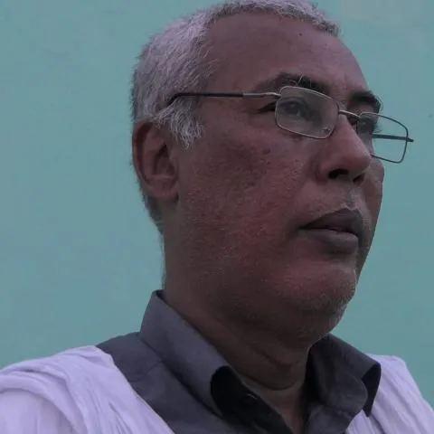 محمد فال سيدي ميله - كاتب صحفي