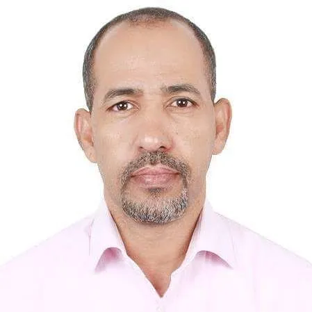 محمد محمود بن أحمد محجوب - باحث وأكاديميّ 