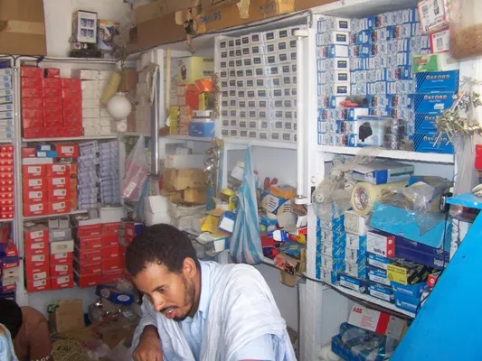 د / محمد المختار ديه الشنقيطي