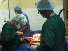 محمد عبد الله ولد لحبيب