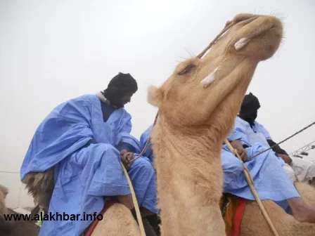 الدكتور الشيخ ولد سيدي عبد الله – أستاذ جامعي وشاعر وناقد