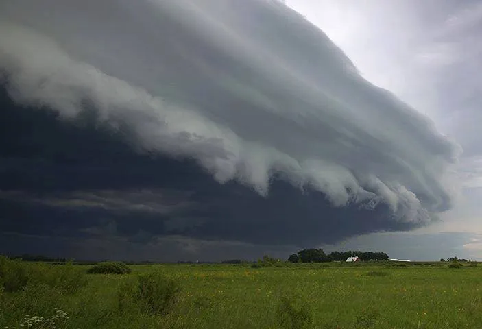 10603136_1451124125149667_1077883171_n(1)(1)_0