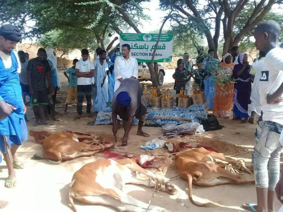 41678510_1895680450467559_854169717005352960_n