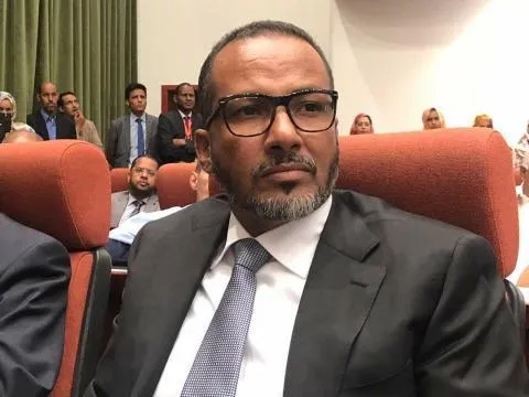 محمد زين العابدين ولد الشيخ