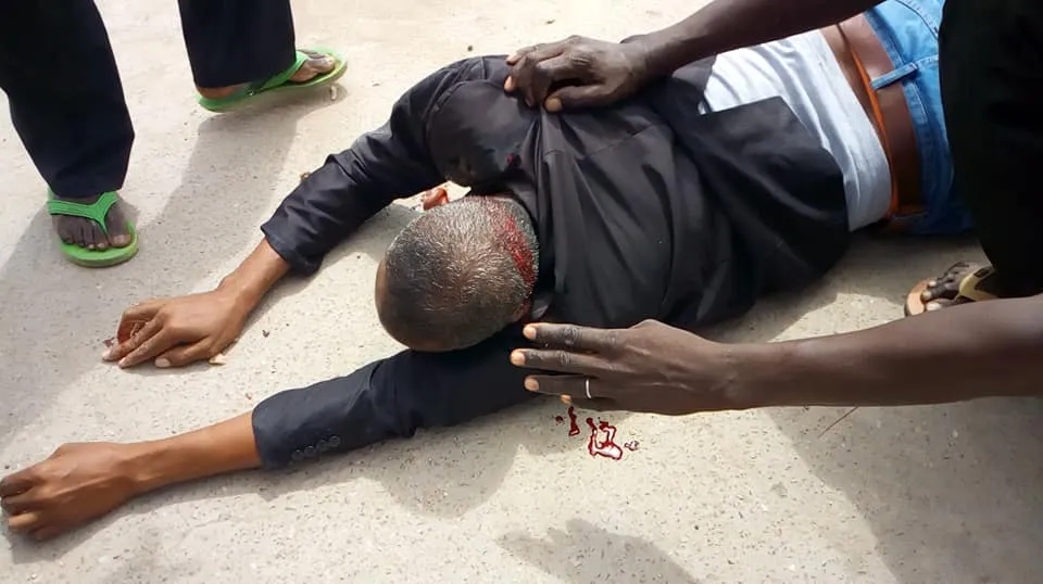 43447181_310075796486397_3607342263111254016_n