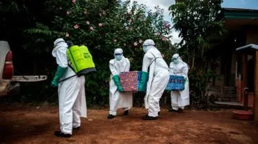 _106328789_ebolardc