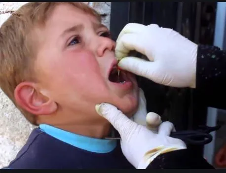 يحيى البيضاوي ـ المدينة المنورة 