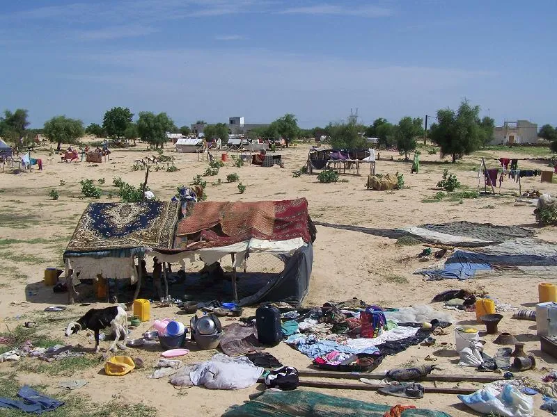 العبارة التي تنقل المسافرين على متن النهر الفاصل بين موريتانيا والس?