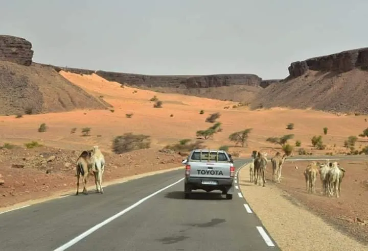 صورة استخدمها أحد المدونين في الحملة الداعمة للموسم السياحي الموريت