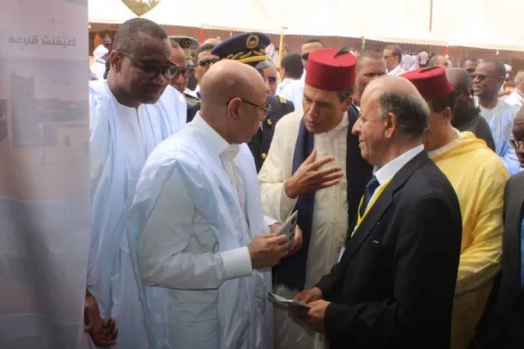 mortane14-750x500 (1)