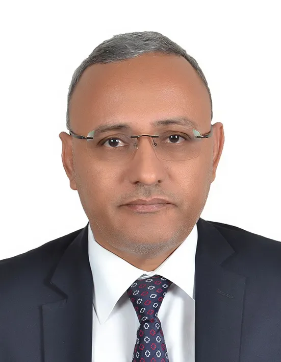 محمد فال التلميدي - مدير عام سابق