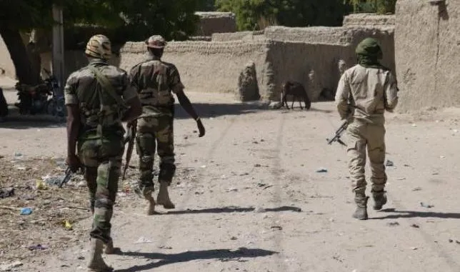 Niger-1