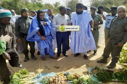 والي الحوض الشرقي خلال جولته في المناطق الحدودية (وما)