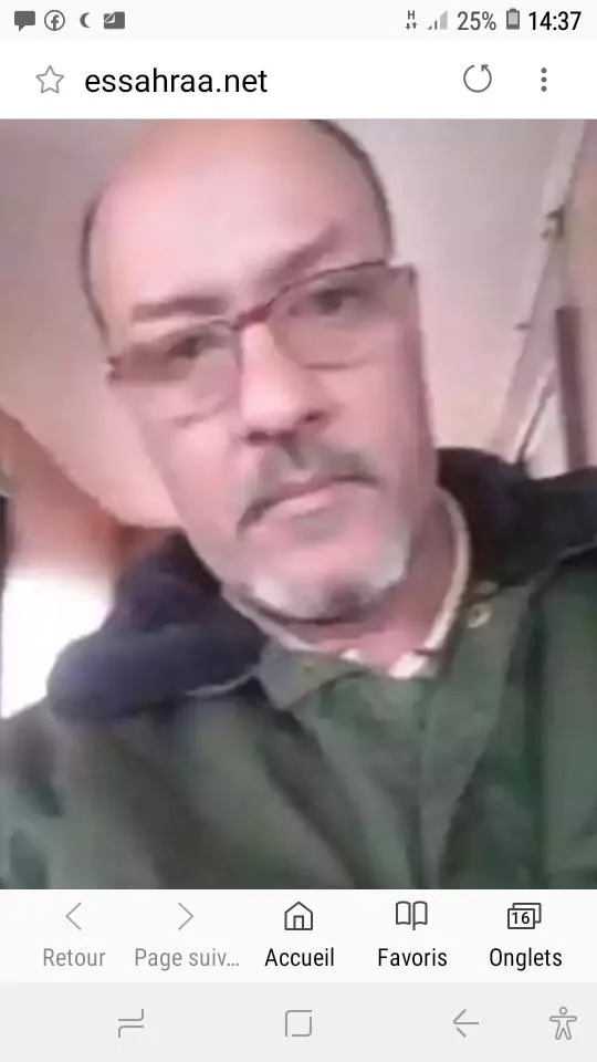 أحمد محمد محمد الأمين العالم