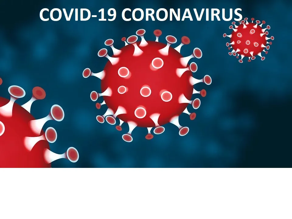 covid-19 (1)