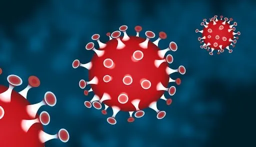 coronavirus-covid19 (1)