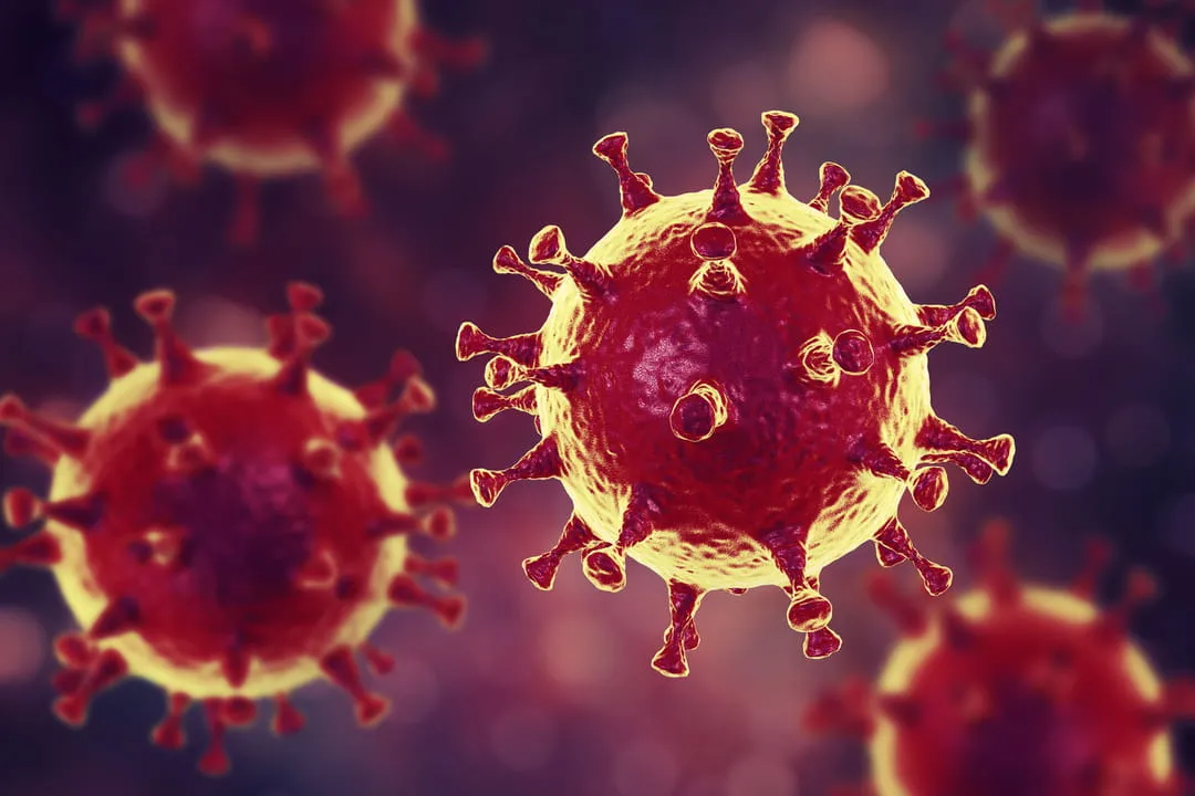 coronavirus2