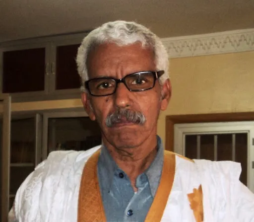 إبراهيم ولد أبتي: محام