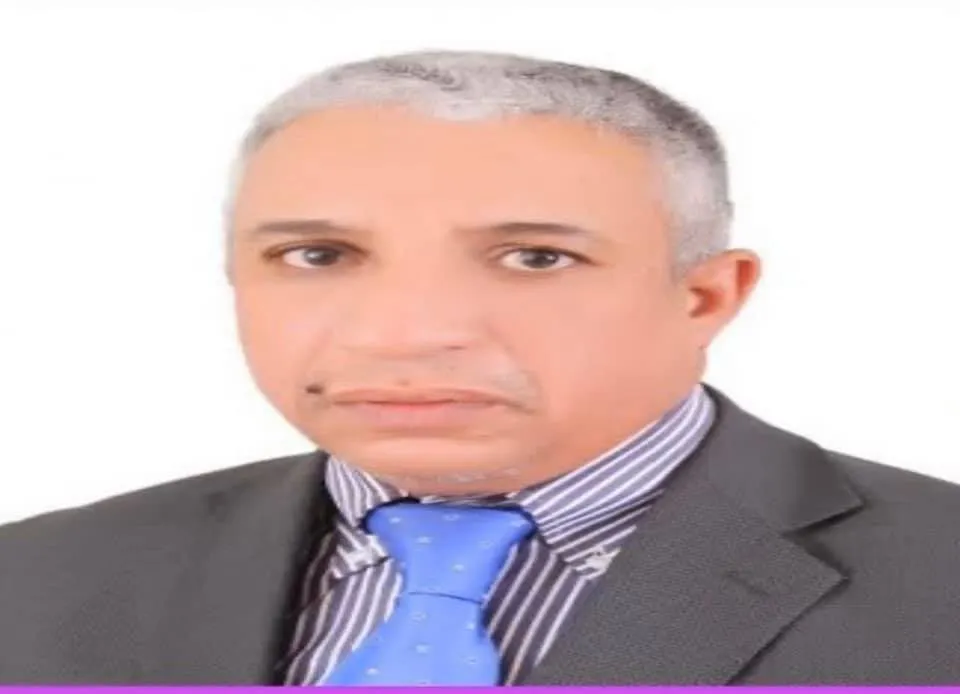  المختار ولد داهى - اقتصادي وسفير سابق