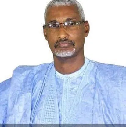 النائب البرلماني عبد الرحمن ولد ميني