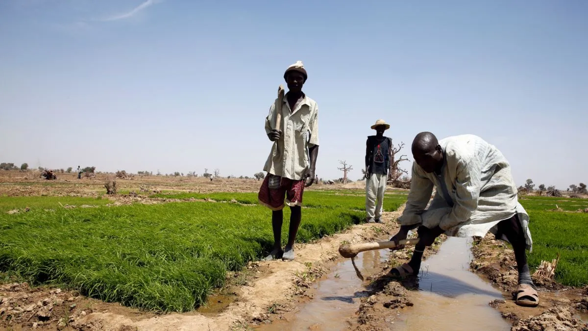 2647D2CF-48C6-4C1B-9A92-5C5D41D87A30_w1200_r1