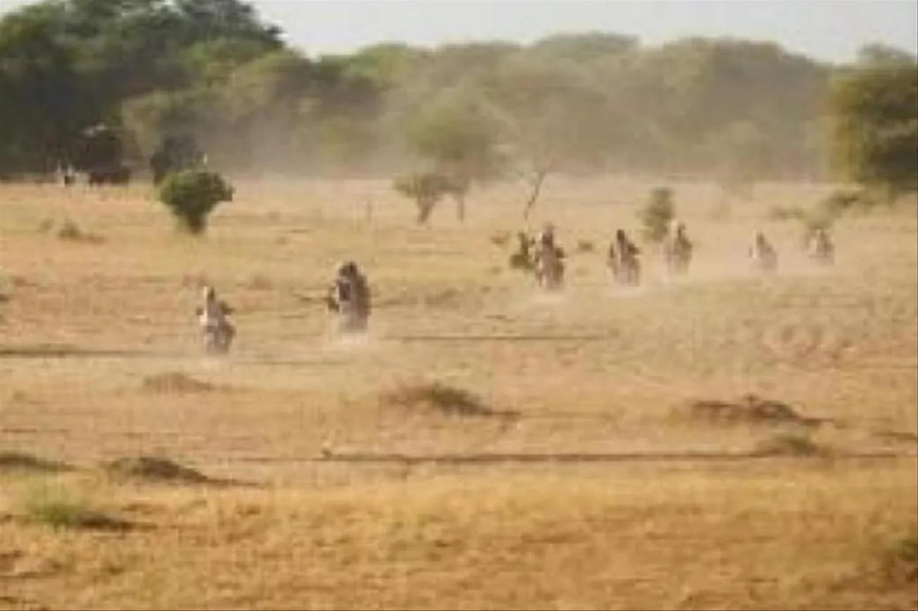 8xtCG6k7qj48pbvz2hbe-1